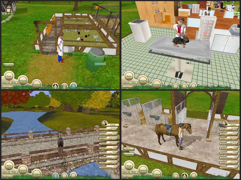 Paws and Claws: Pet Vet