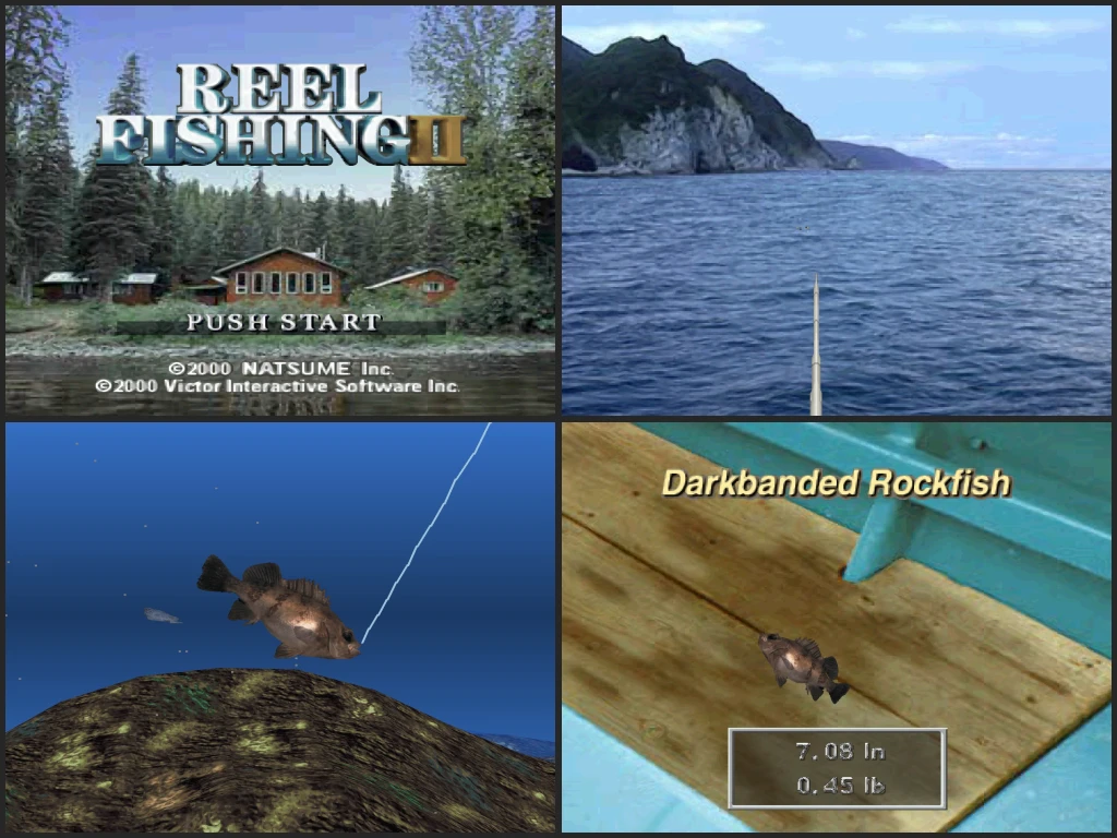 Reel Fishing II