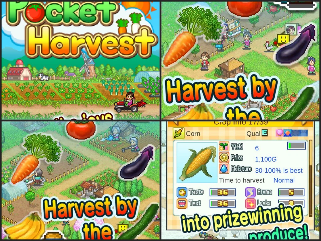 Pocket Harvest