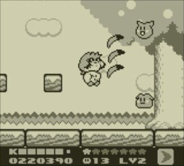 Kirby's Dream Land 2 (3DS)