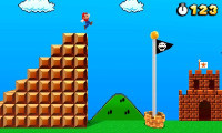Super Mario 3D Land