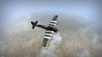WarBirds - World War II Combat Aviation