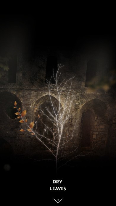 The Sailor&rsquo;s Dream