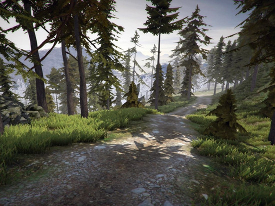 MTB Downhill Simulator