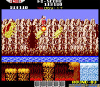 Arcade Archives RYGAR