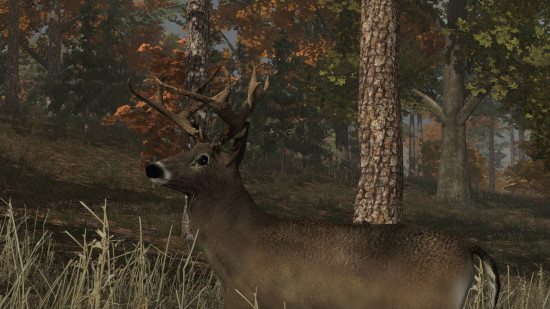 Deer Simulator