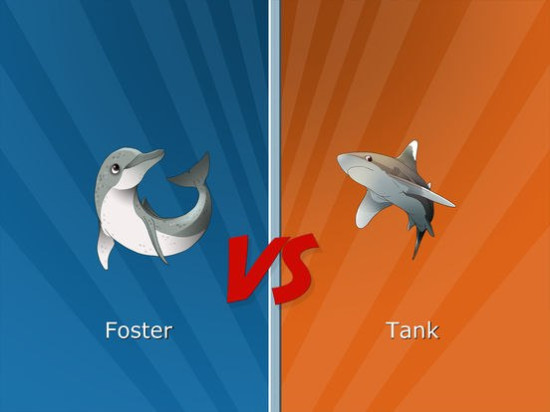Bandit's Shark Showdown!
