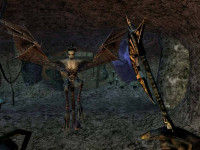 The Elder Scrolls III: Morrowind