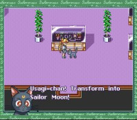 Bishoujo Senshi Sailor Moon: Another Story