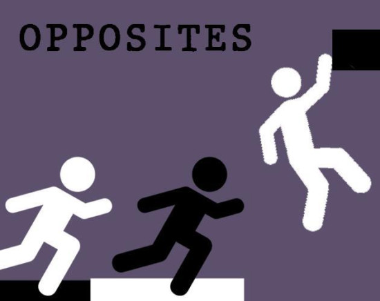 OPPOSITES (adhochero)