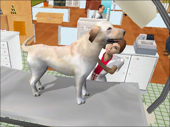 Paws and Claws: Pet Vet