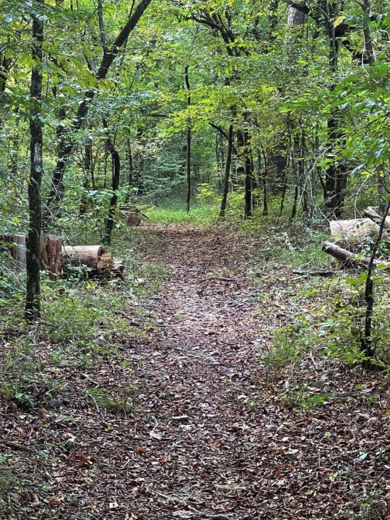 GOBLIN RUN (Matt Barninger)