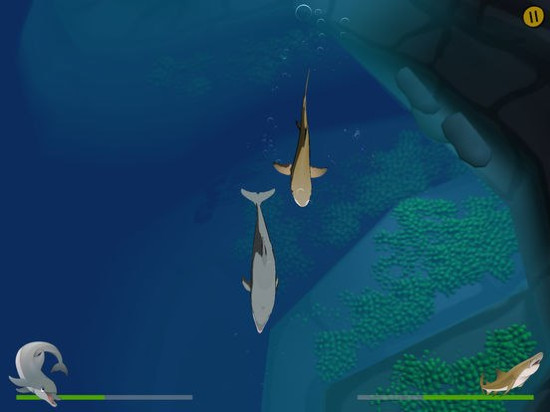 Bandit's Shark Showdown!