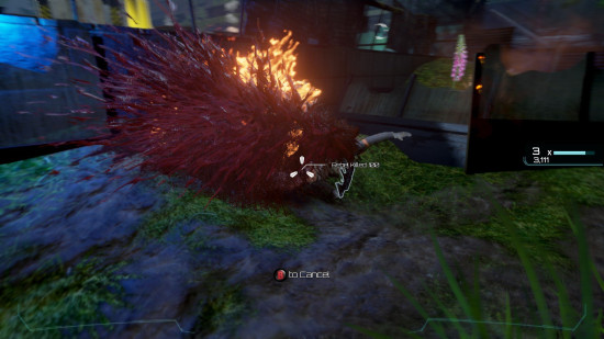 Beyond Flesh and Blood