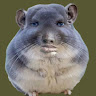 Fredrick Gardner