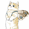 Карина