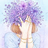 hana spica