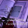 السيد تكنولوجيا